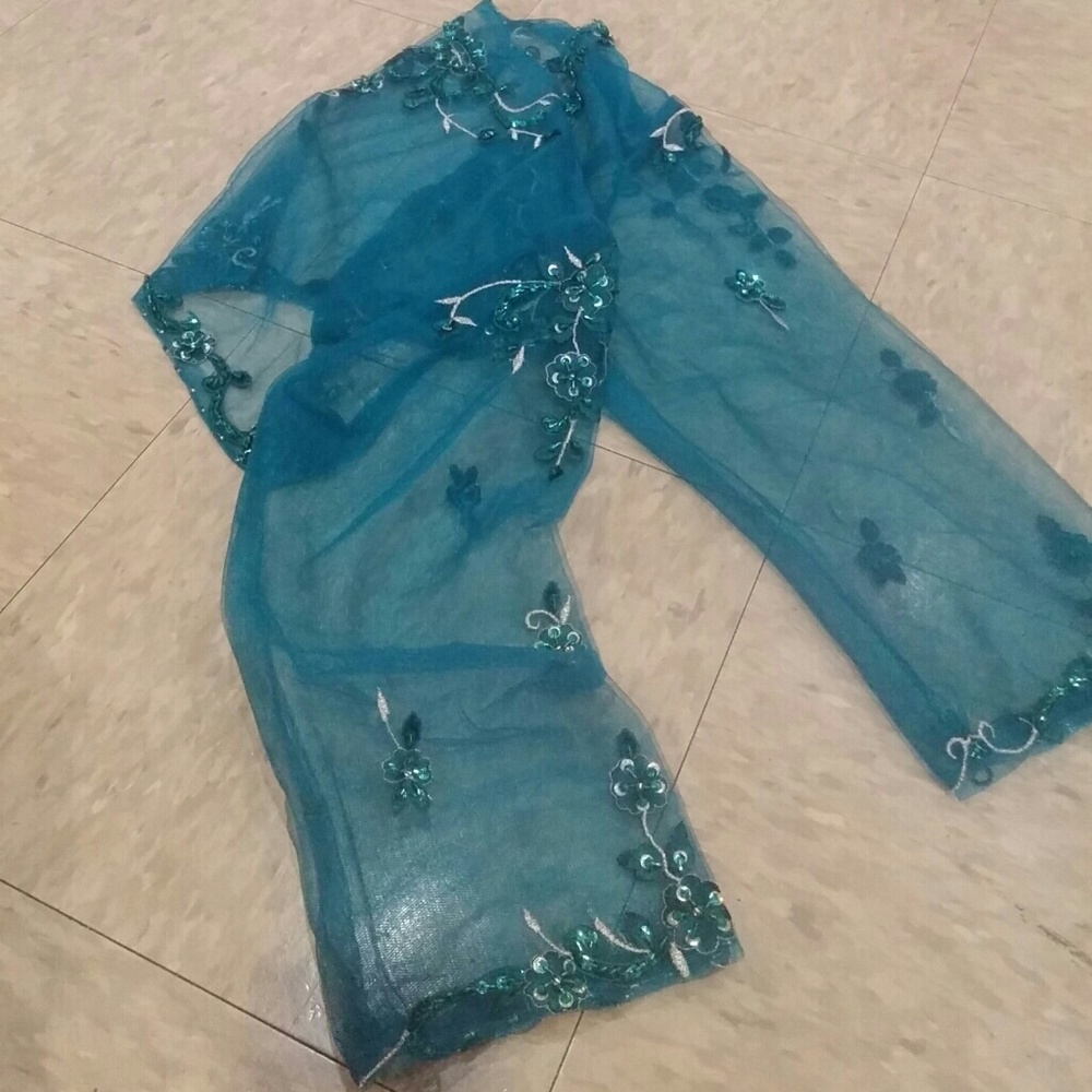 🔥Hand crafted sequined Choli/sheer cover - Picture 4 of 4